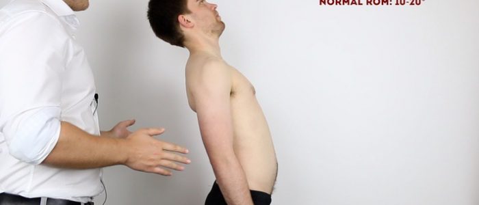 Lumbar Spine