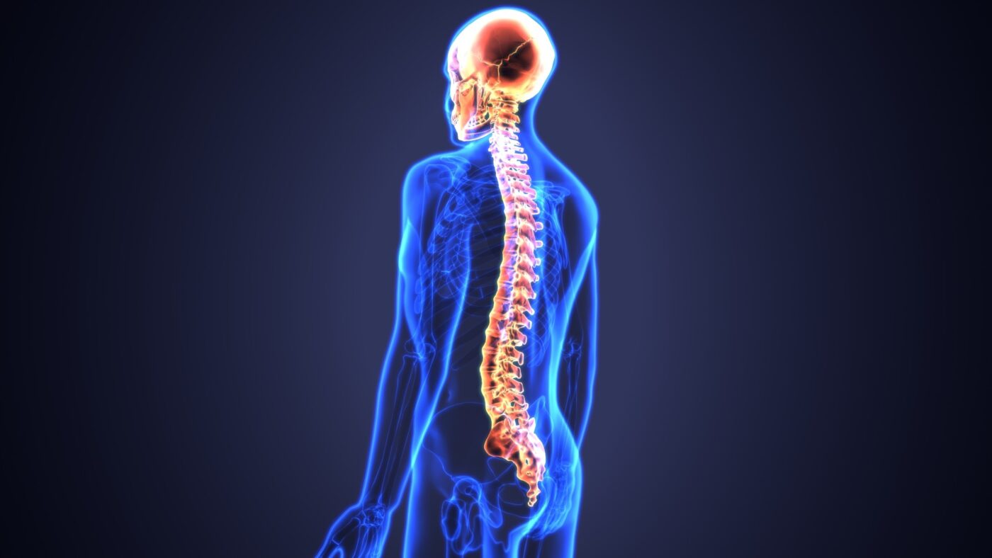 Back Pain Problems