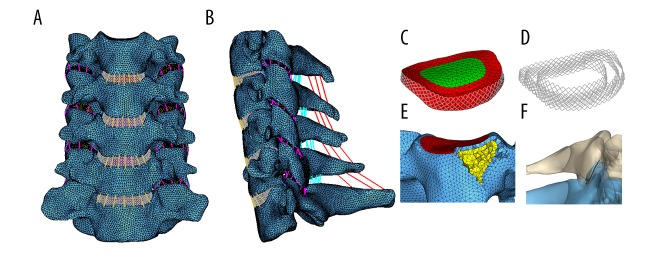 Vértebras cervicales C7