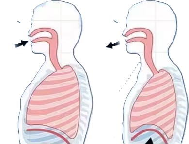 Chiropractor and Scoliosis: Innovative Medical Equipment for Enhanced Treatment Effectiveness and Patient Outcomes