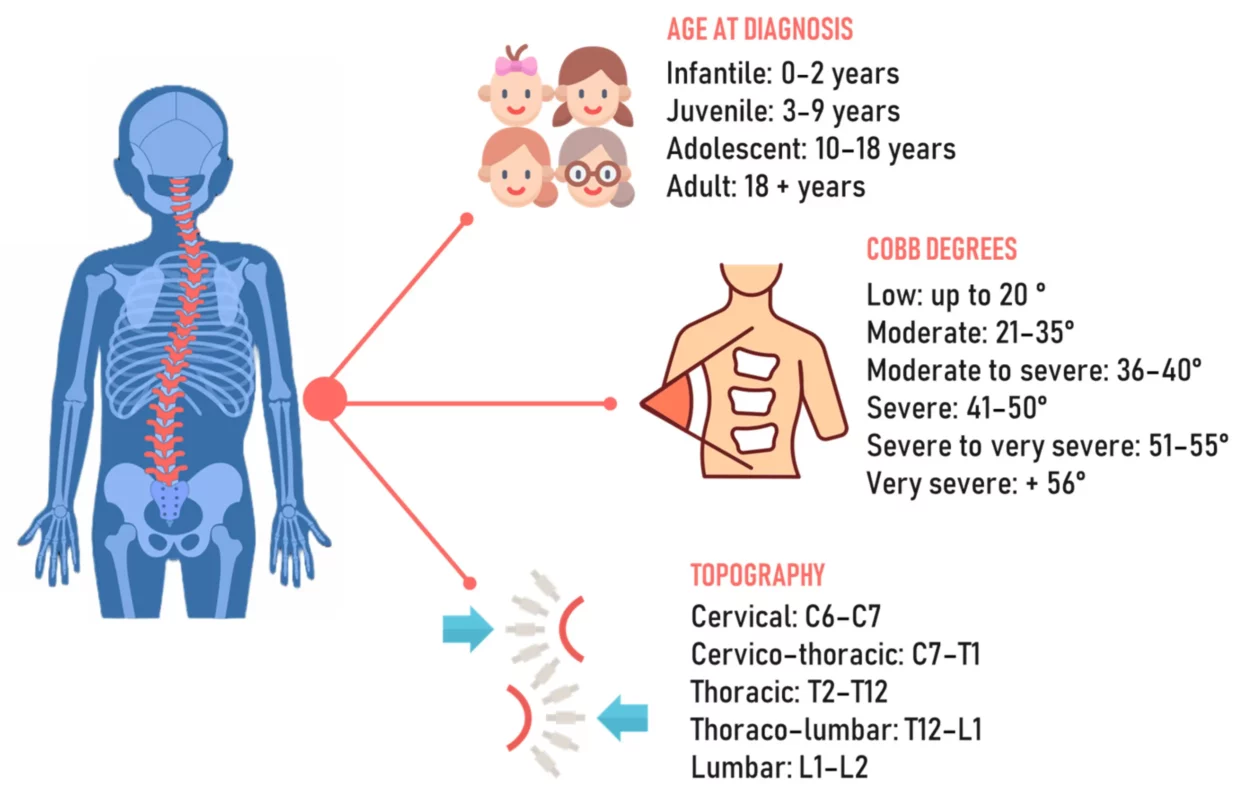 Which of the Following Describes Structural Scoliosis? Understanding the Characteristics and Classification of Structural Scoliosis 2024