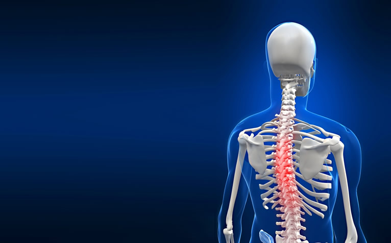 Dextroconvex Scoliosis of the Thoracic Spine: A Comprehensive Guide to Treating and Managing Dextroconvex Scoliosis in the Thoracic Region