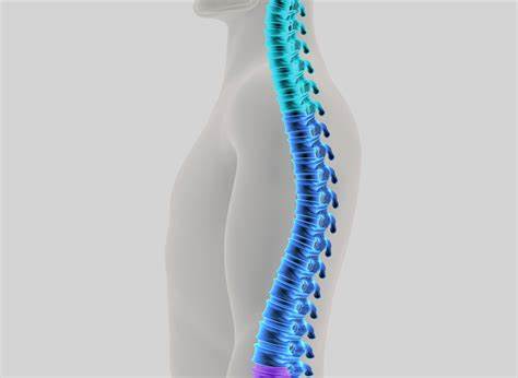 Scoliosis Assessment Physiotherapy