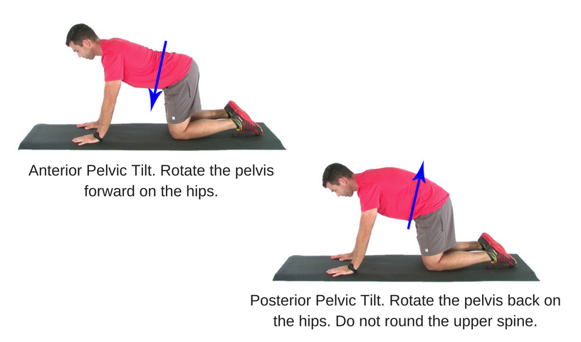 Understanding anterior pelvic tilt exercises pdf
